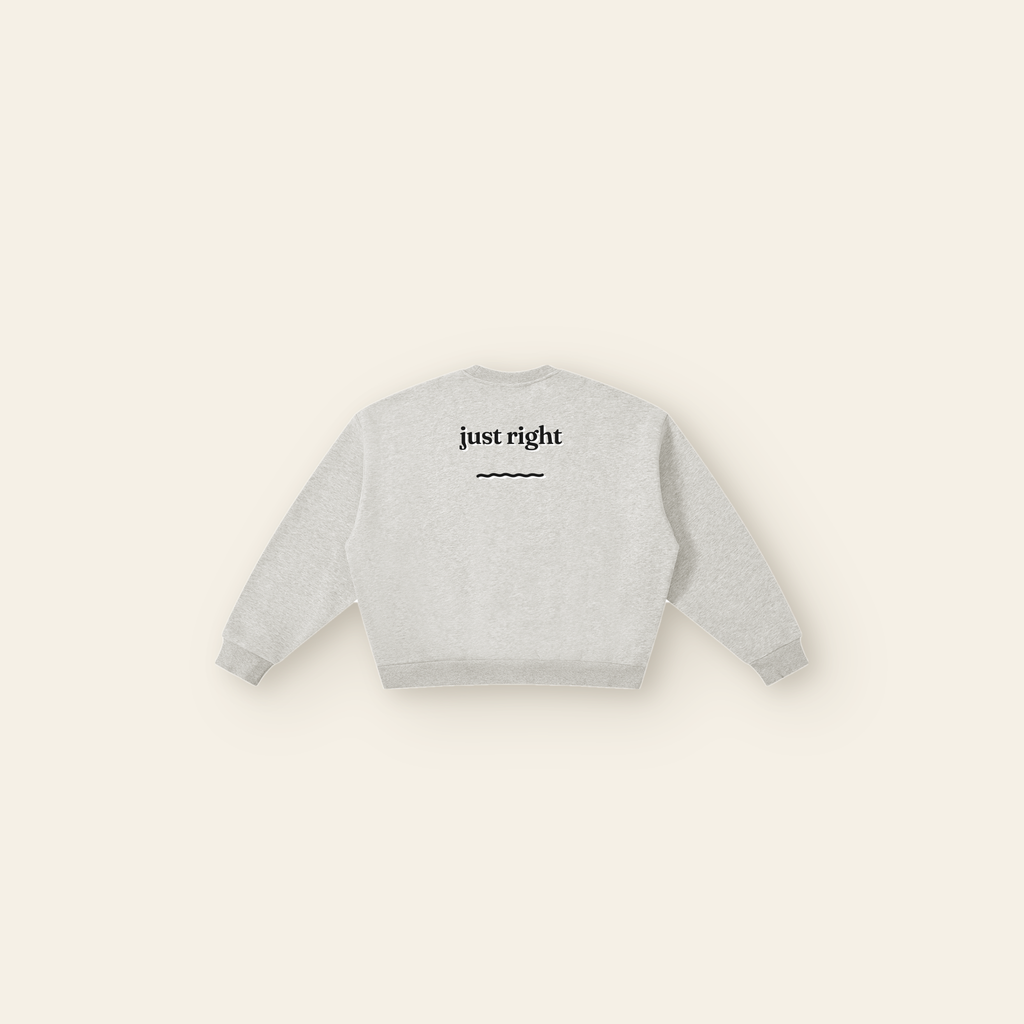 Just Right Boxy Fleece Sweatshirt – Adult in Heather Gray, back, laid flat