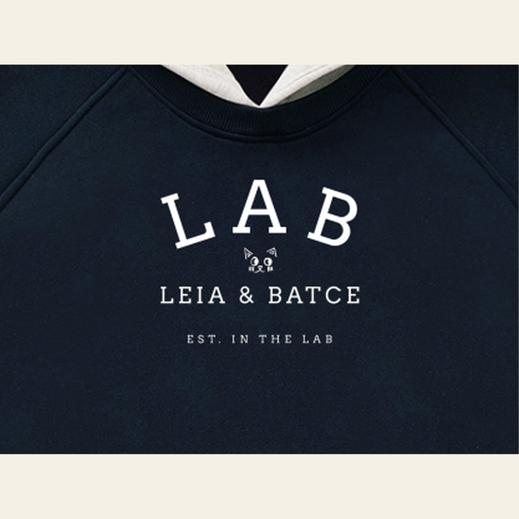 Close-up of the Batce Lab mark printed on the Navy / Oatmeal hoodie