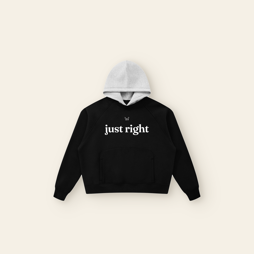 Just Right Lettering Raglan Fleece Hoodie – Adult in Black / Heather Gray, laid flat