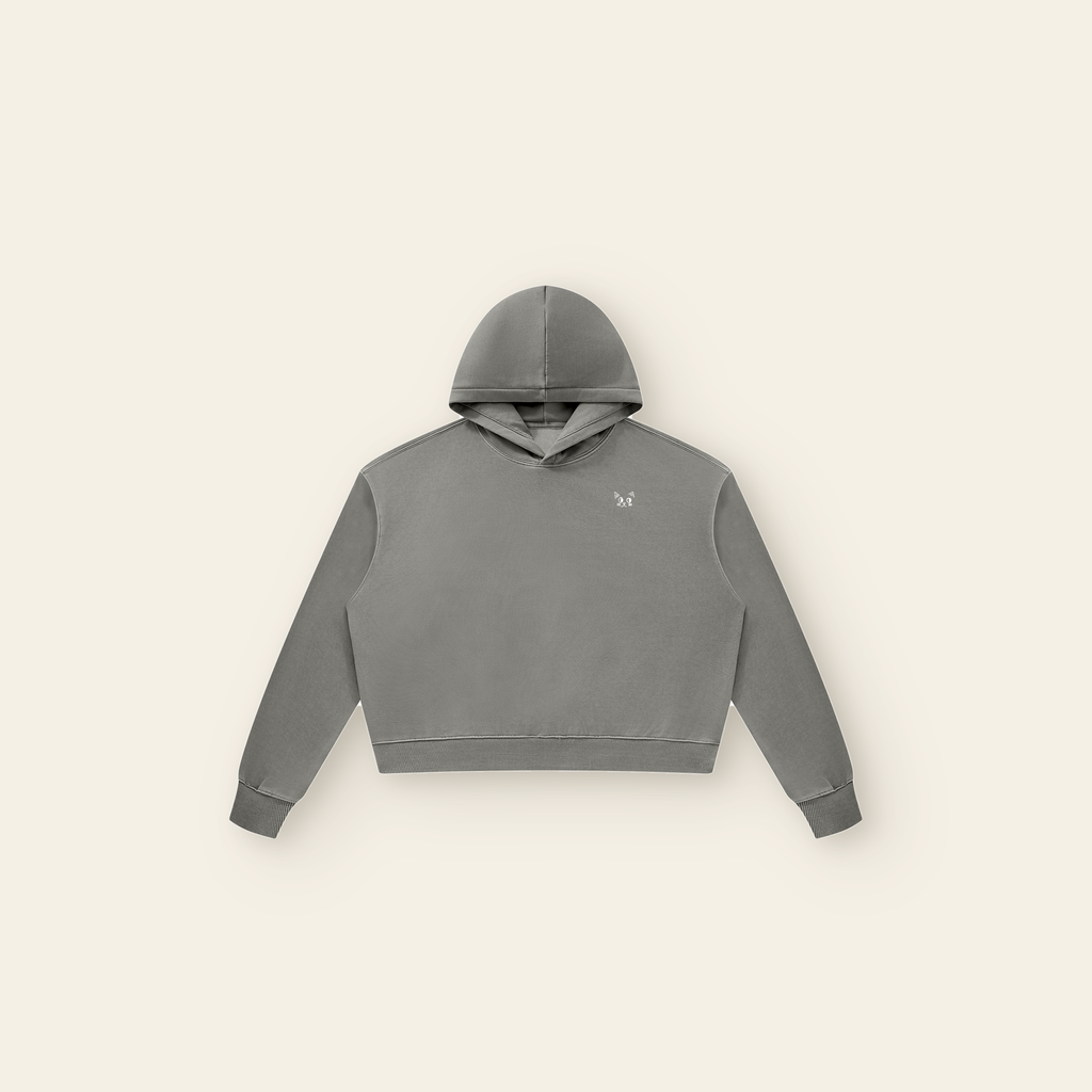 The Batce Hoodie – Women's in Light Gray, laid flat